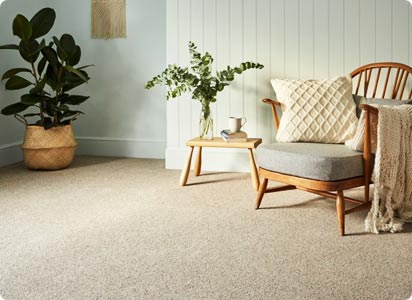 Plain Carpets