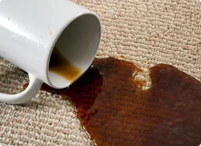Coffee Stain on carpet