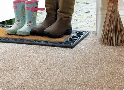 Stain Free Carpets