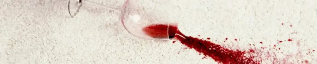 Stain Resistant Carpet